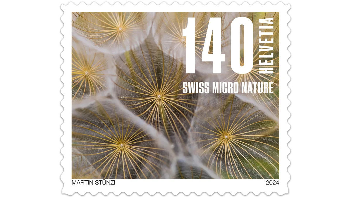 Samenstand: Wiesenbocksbart in Visperterminen VS. Briefmarken Naturmuster 2024